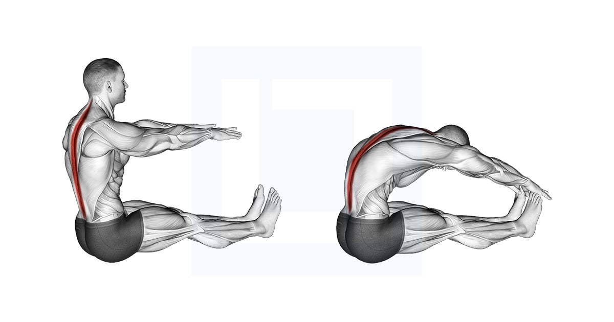 Spine Stretch