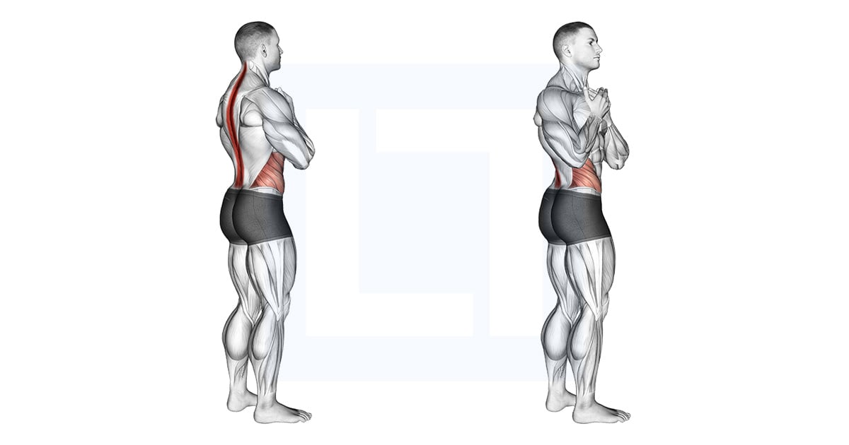 Debout Back Rotation Stretch