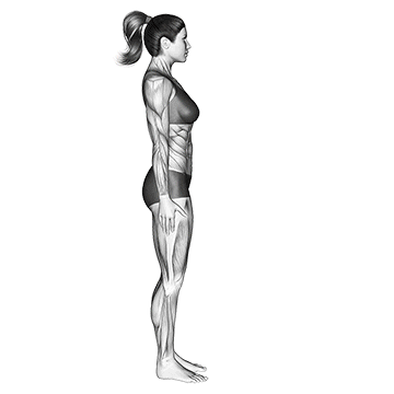 Debout Forward Bend Uttanasana