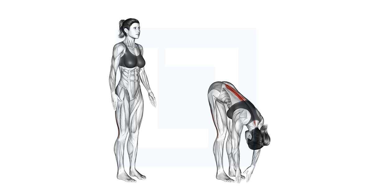 Debout Hamstring Stretch