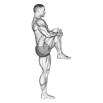 Debout Knee to Chest Stretch