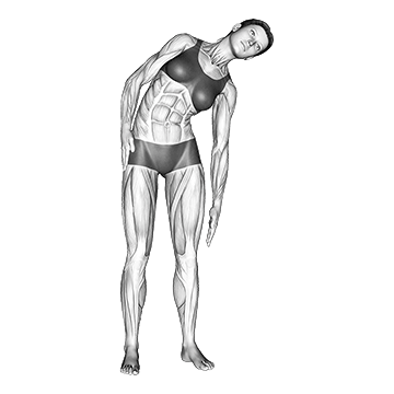 Debout Lateral Side Stretch