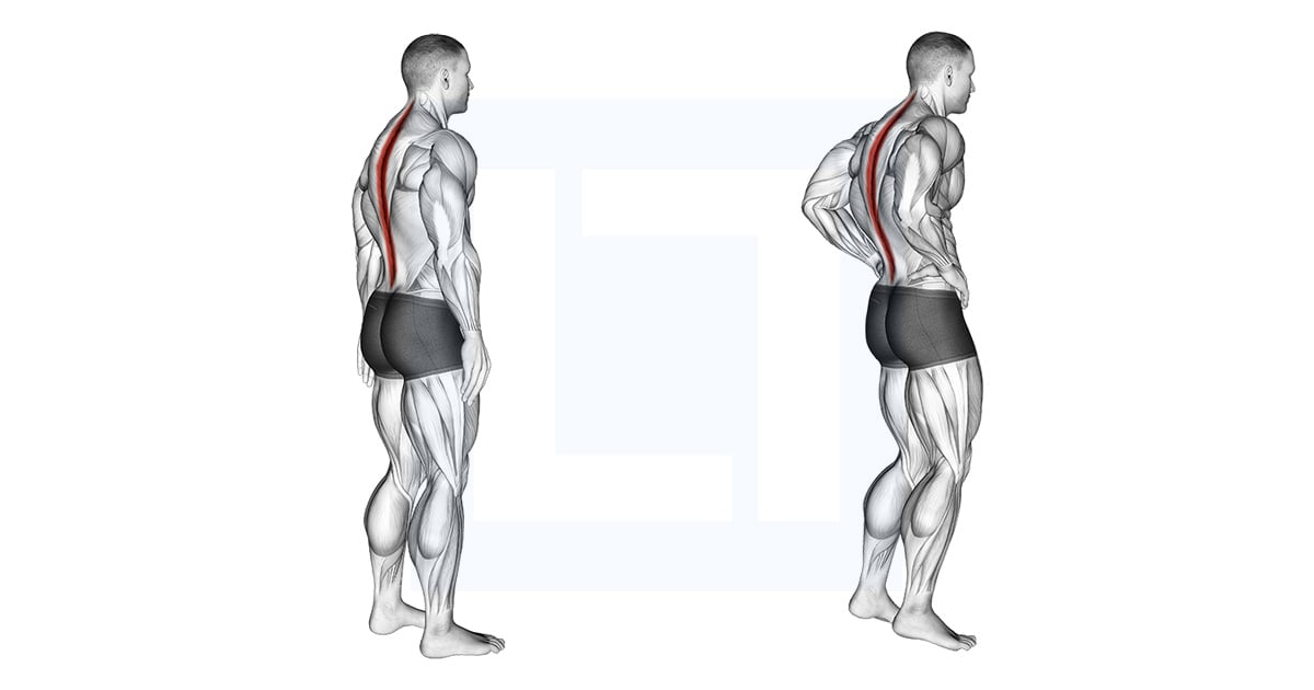Debout Pelvic Tilt