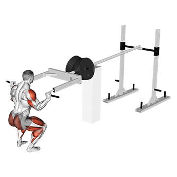 Presse Strongman Viking