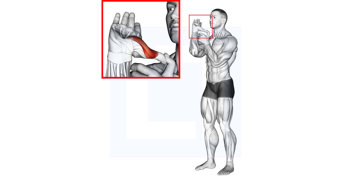 Thumb Stretch