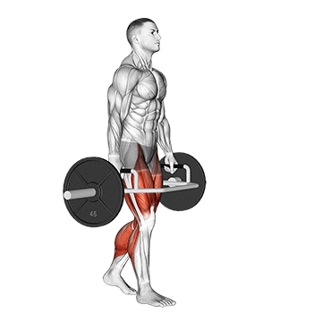 Farmers Carry à la trap bar