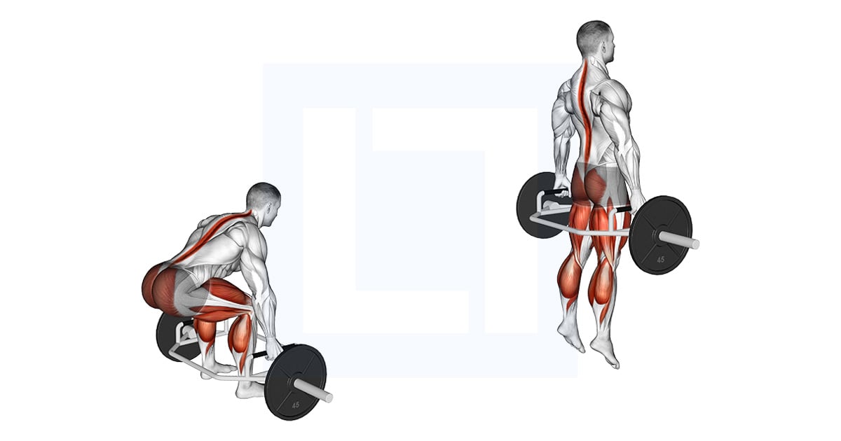 Squat Saute à la trap bar