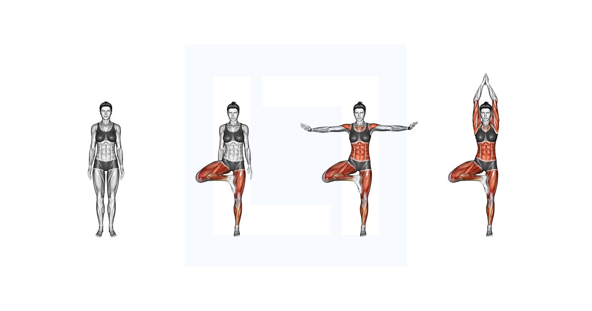 Tree Pose Vrksasana