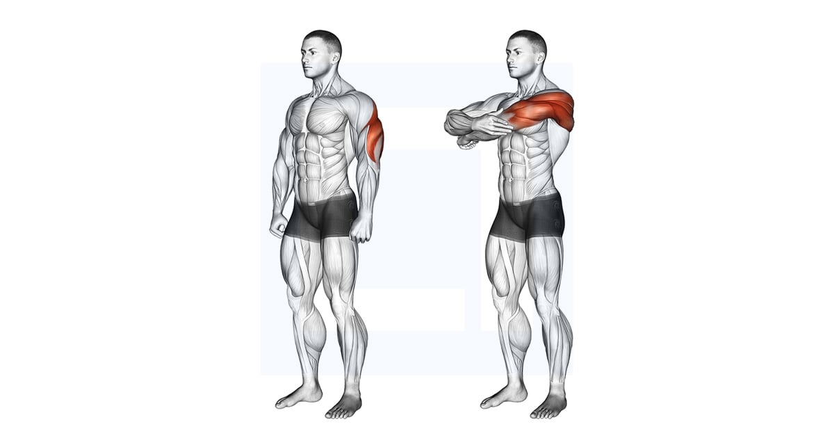 Triceps Stretch