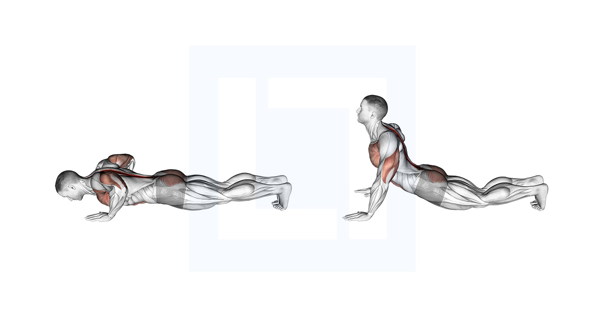 Upward Facing Dog