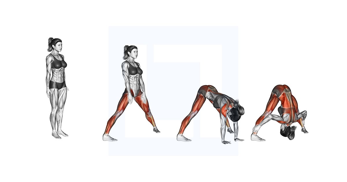 Wide Legged Forward Bend Prasarita Padottanasana